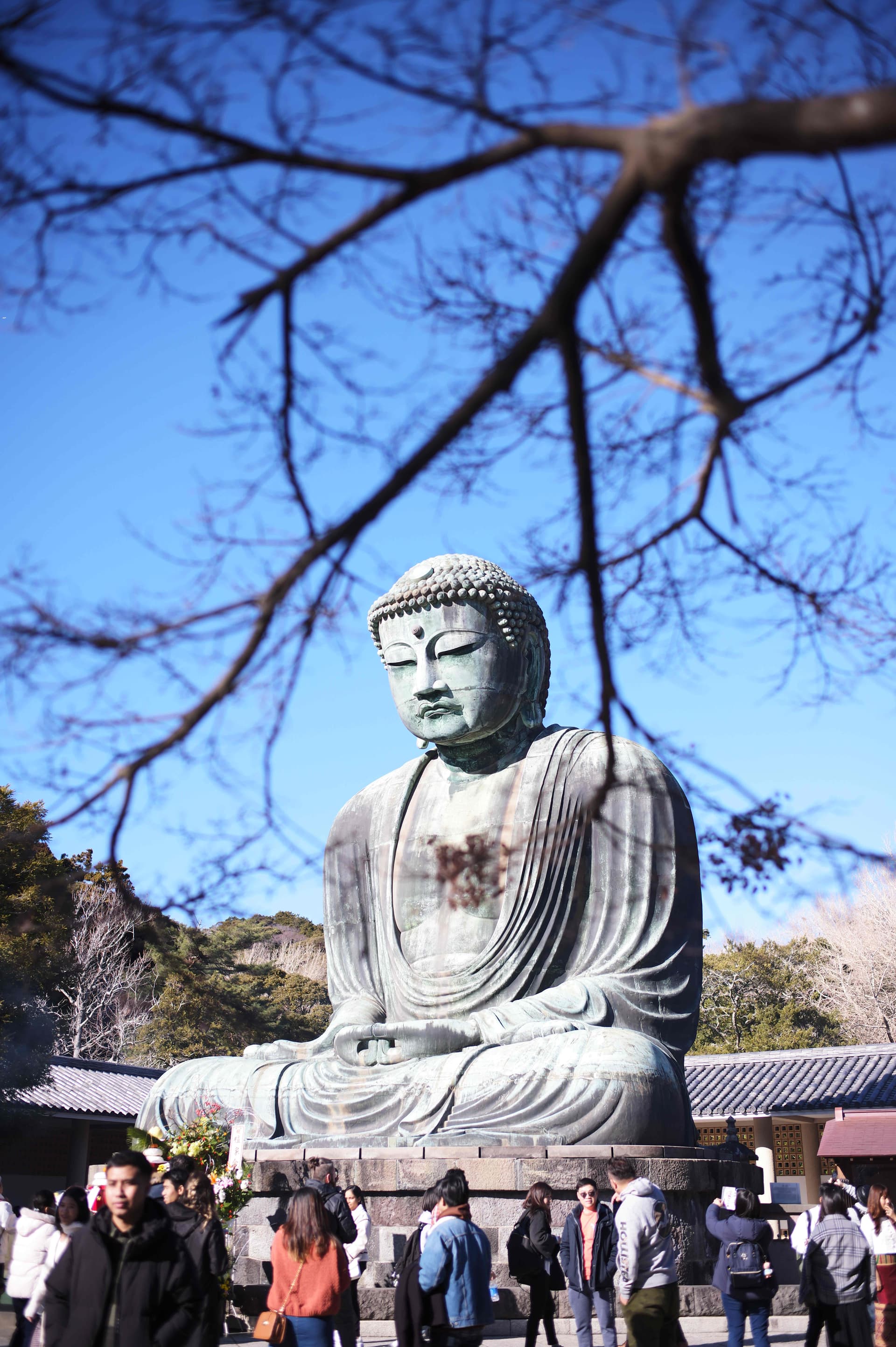 镰仓大佛