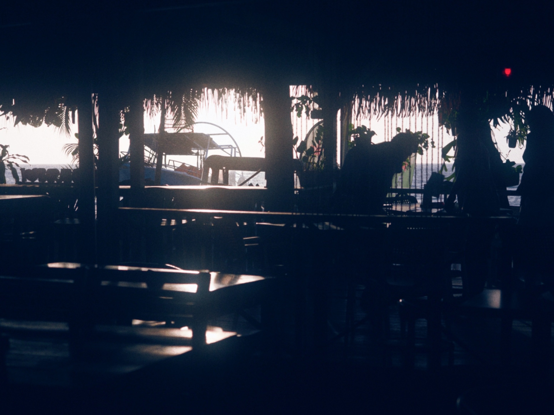 Milo photography work 2