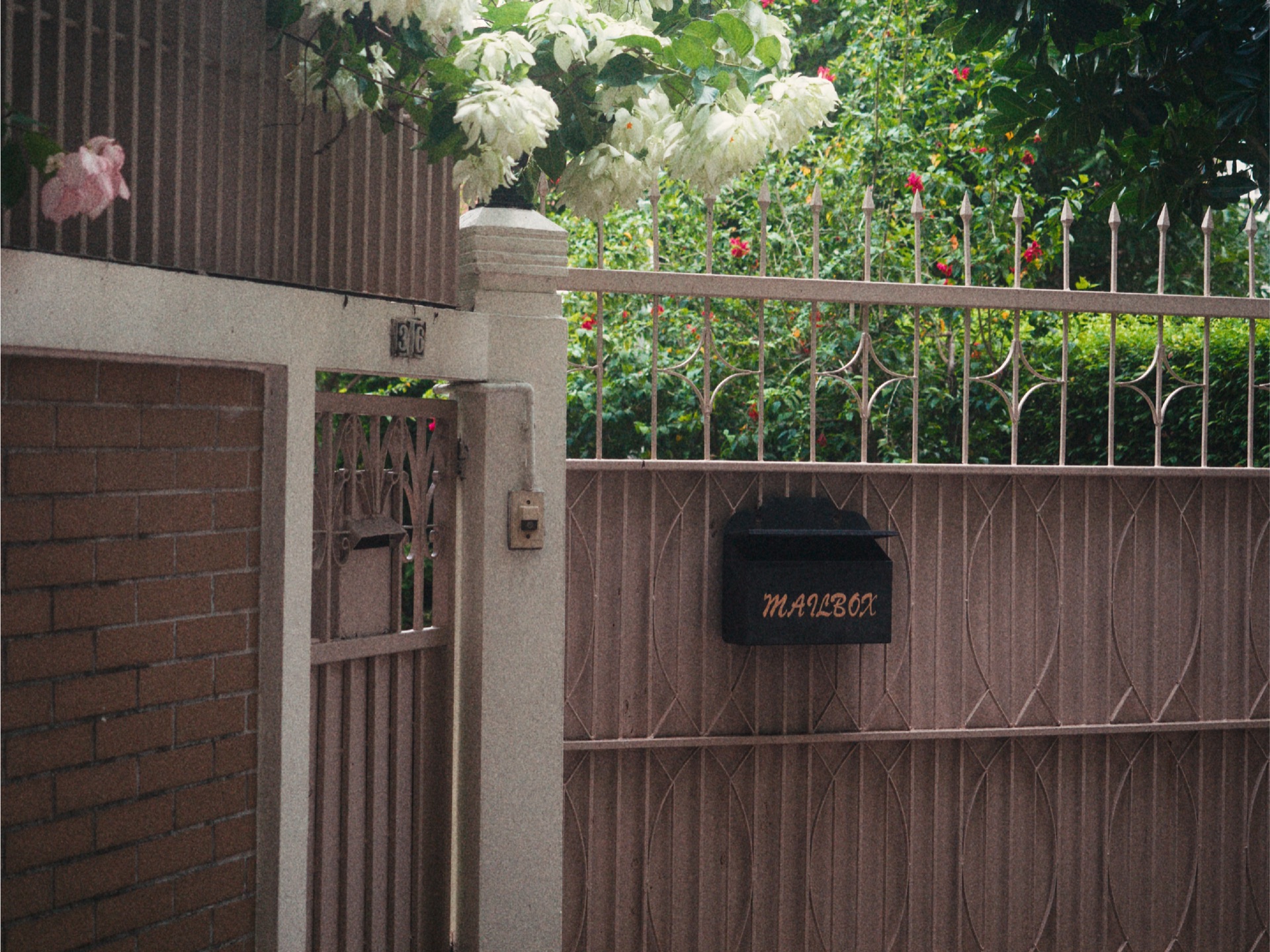 Photograph by Milo An, 6
