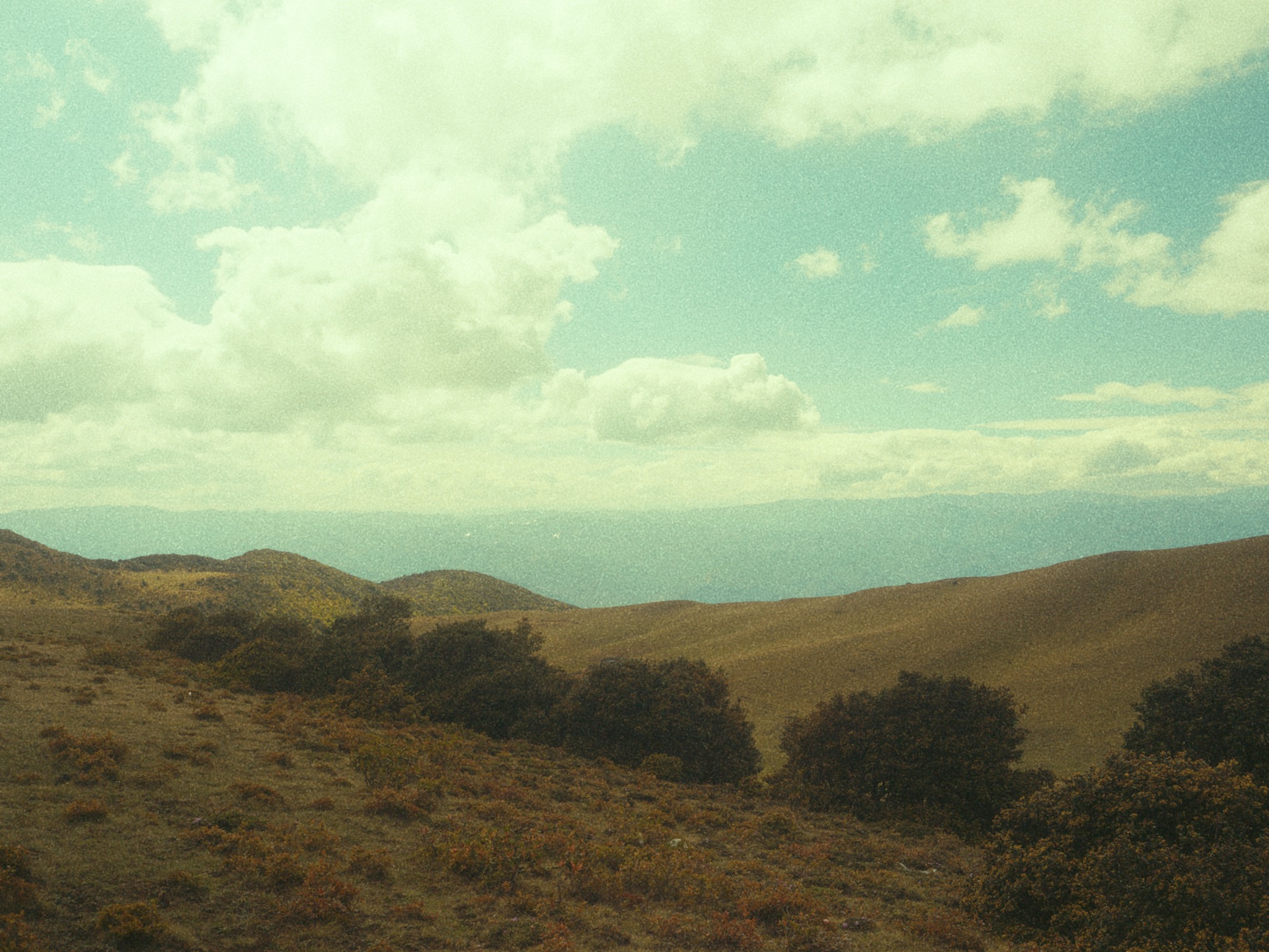 Photograph by Milo An, 14