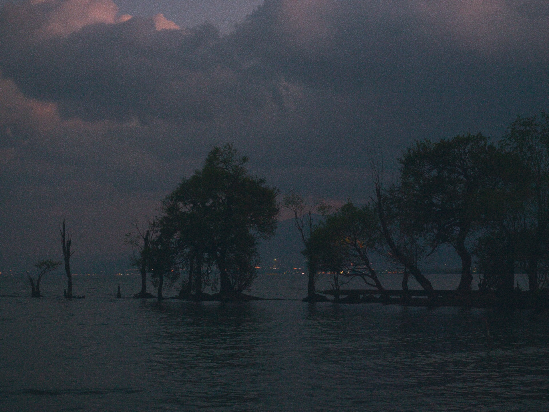 Photograph by Milo An, 15
