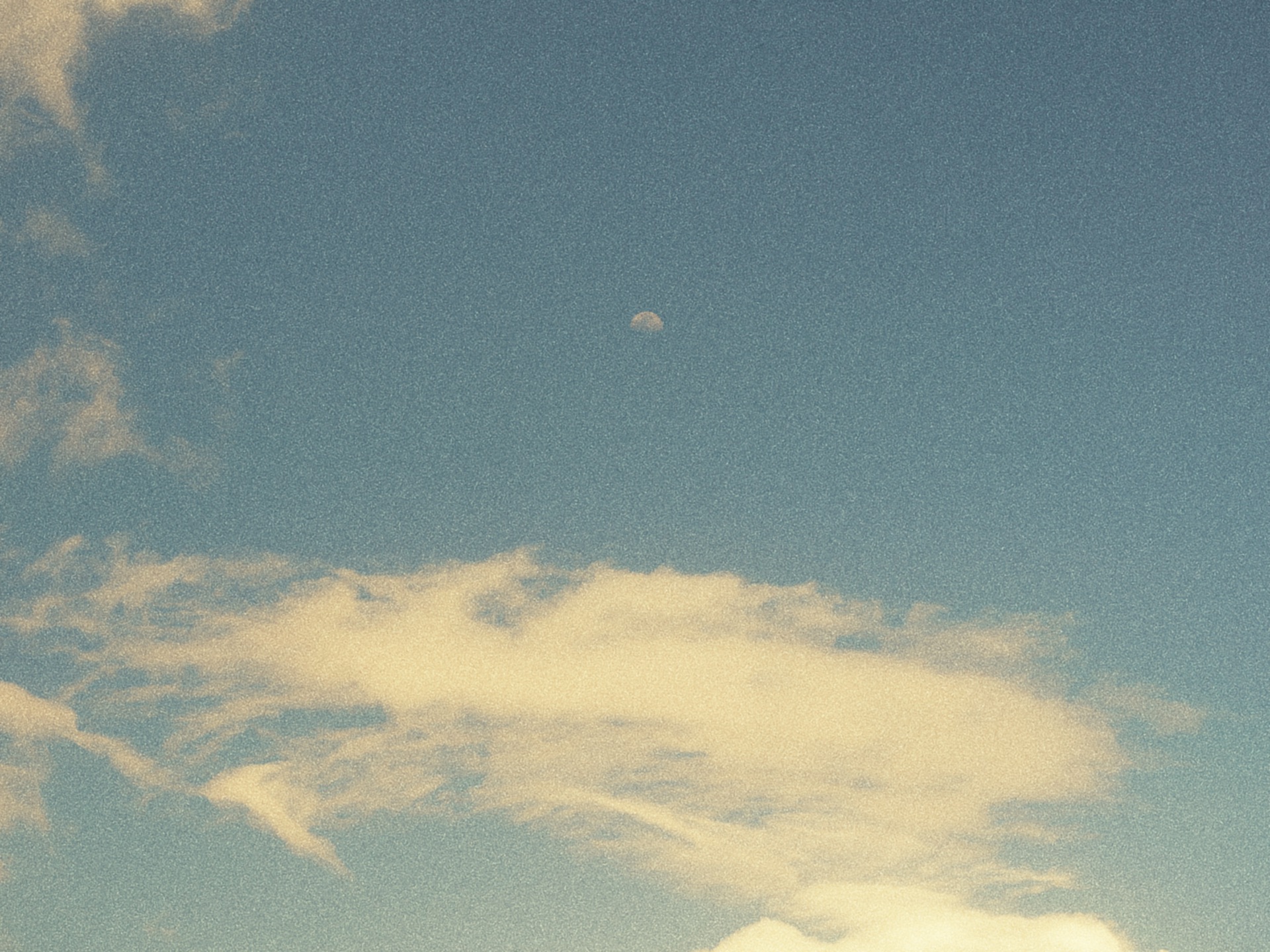 Photograph by Milo An, 25
