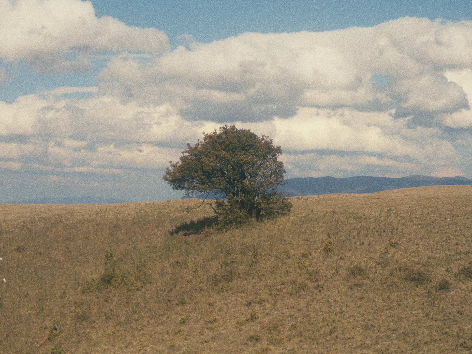 Photograph by Milo An, 31