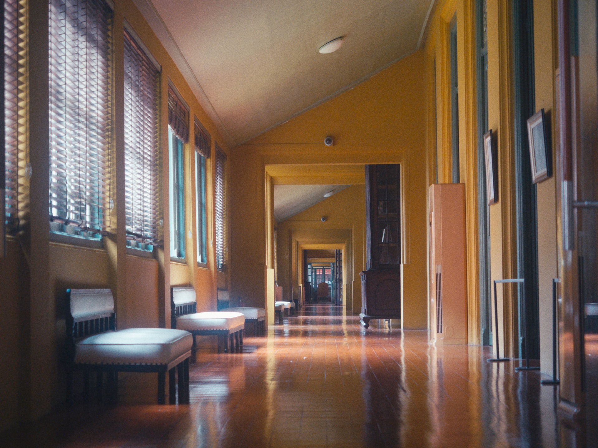 Photograph by Milo An, 36