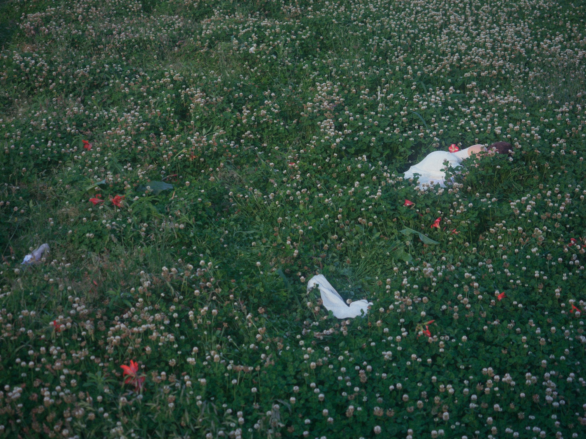 Photograph by Milo An, 38