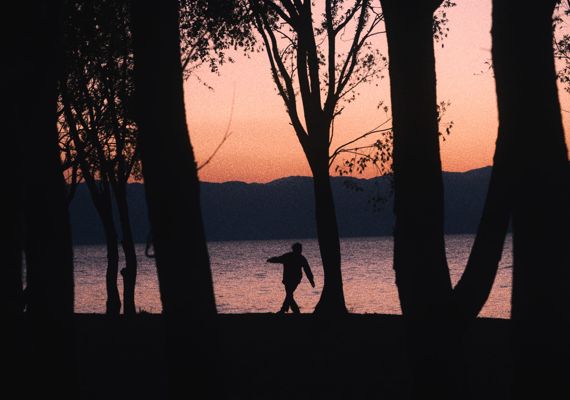 Photograph by Milo An, 45